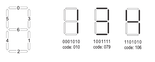 显示编码的样例